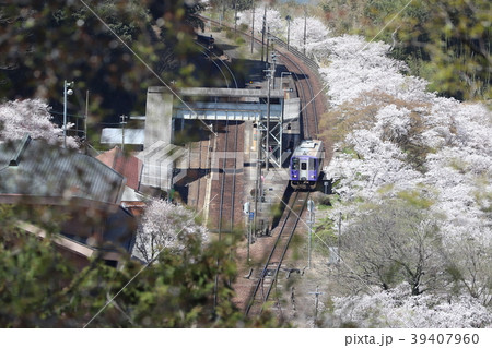 春の関西本線 笠置駅 春の関西本線 笠置駅 39407960
