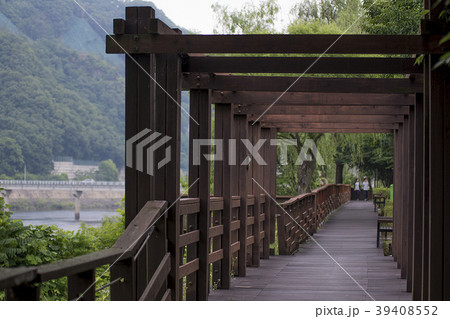 公園 歩く 木 39408552