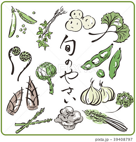 旬の野菜 いろいろのイラスト素材