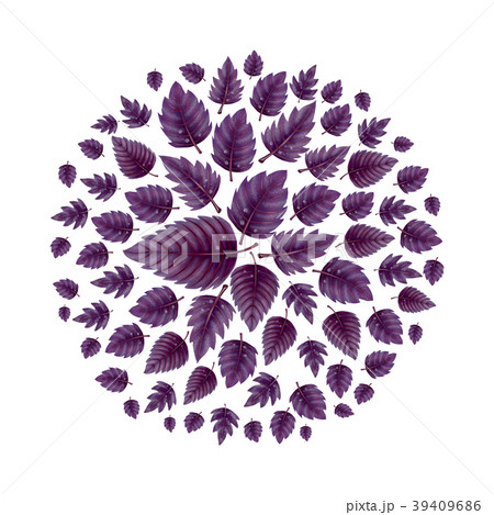 Illustration of a Ball of Basil leaves. Illustration of a Ball of Basil leaves. 39409686