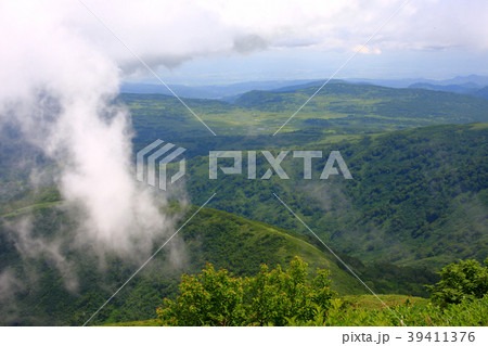 暑寒別岳登山道から見る雨竜沼湿原 39411376