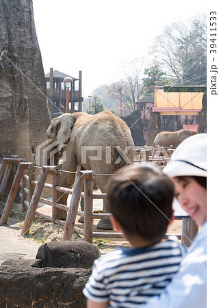 動物園で楽しむ親子 39411533
