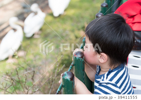 動物園で楽しむ親子 39411555