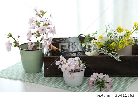 桜と春の花 桜と春の花 39411963