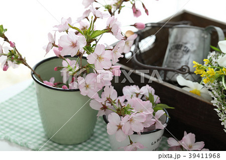 桜と春の花 桜と春の花 39411968