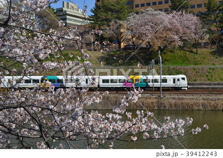 外堀の桜と中央線特急の写真素材