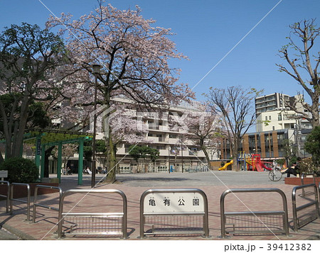 亀有公園　葛飾区　東京　Kameari park Tokyo  39412382