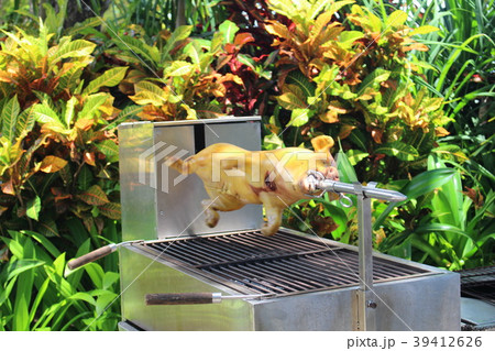 バリ島で見たブタの丸焼き バリ島で見たブタの丸焼き 39412626