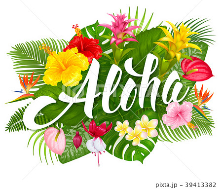 Aloha Hawaii Lettering And Tropical Plantsのイラスト素材