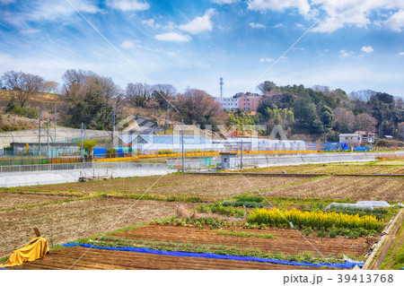 舞岡ふるさと村の風景 39413768