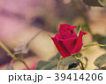 Blur red background, vintage pattern roses,  39414206