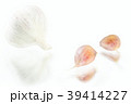 garlic cloves and garlic bulb with reflection 39414227