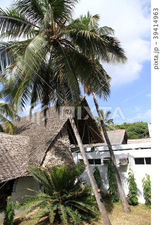 南国　バケーション 39414963