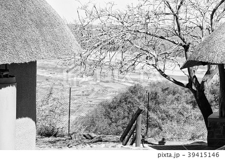 kruger park the lodge near the river kruger park the lodge near the river 39415146
