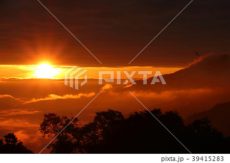 景色 風景 うんかい 39415283