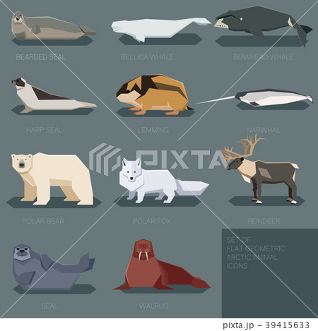 Set of flat geometric animals of Arctic 39415633