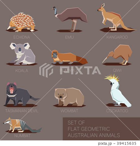 Set of flat geometric species of Australia 39415635