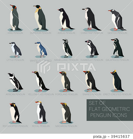 Set of flat geometric species of Penguins 39415637