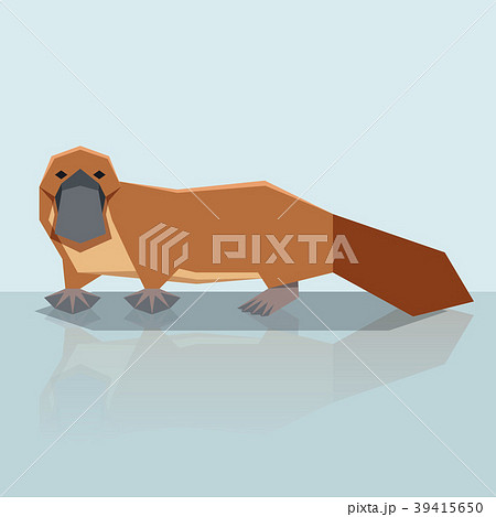 Flat design Platypus Flat design Platypus 39415650