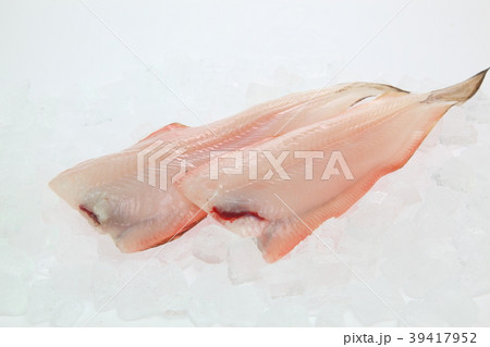 シタビラメ シタビラメ 39417952