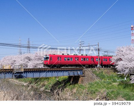 五条川の桜と名鉄6000系　名鉄犬山線　大山寺-名古屋芸大・徳重間 39419079