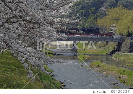 SLやまぐち号津和野到着 39420237