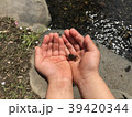 川遊び 39420344
