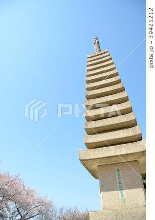 春の玄奘塔・石塔 39421212