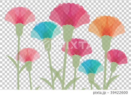 Colorful carnation 39422600