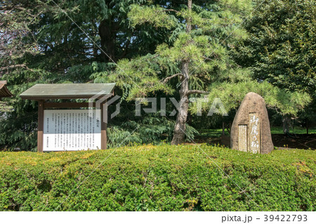 お鷹の松 39422793