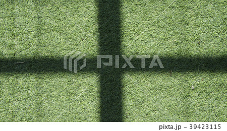 緑色 緑 グリーン 39423115