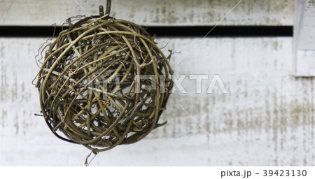 ホワイトバック 白色バック シロバック 39423130