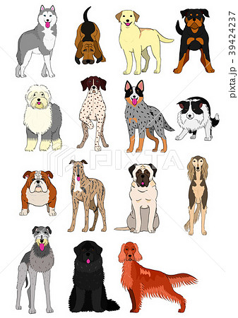中大型犬の種類１ 手描き カラーのイラスト素材