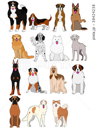 中大型犬の種類２ 手描き カラーのイラスト素材