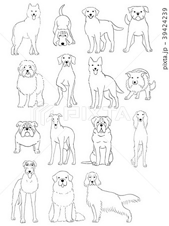 中大型犬の種類１ 手描き 線画のイラスト素材