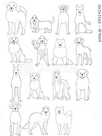 中大型犬の種類２ 手描き 線画のイラスト素材