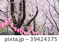 さくら祭り 39424375
