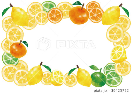 水彩風 レモン オレンジ ライム フレームのイラスト素材