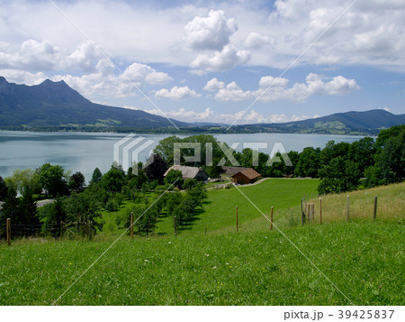 Farm with grassland and meadow at the lake. Farm with grassland and meadow at the lake. 39425837