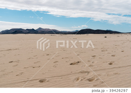 Scenic view of desert landscape 39426297