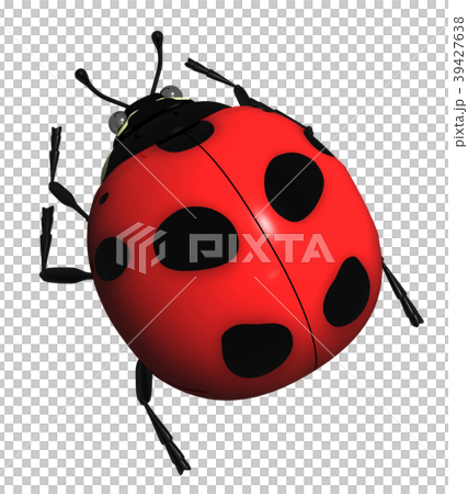 Ladybug 39427638