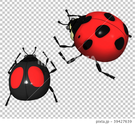 Ladybug Ladybug 39427639