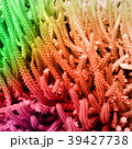 cactus colorful pattern 39427738