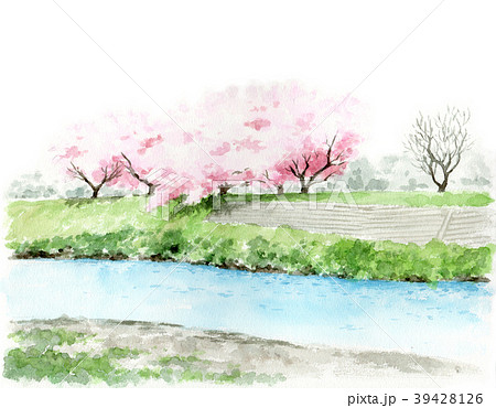 水彩で描いた川と土手と桜の木の風景画のイラスト素材 39428126 Pixta