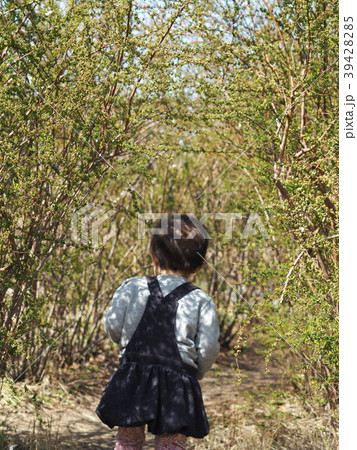 新緑のトンネル 39428285