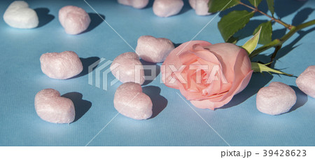 薔薇 バラ科 バラ 39428623