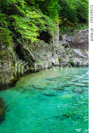 阿寺渓谷(8月) 阿寺渓谷(8月) 39428972