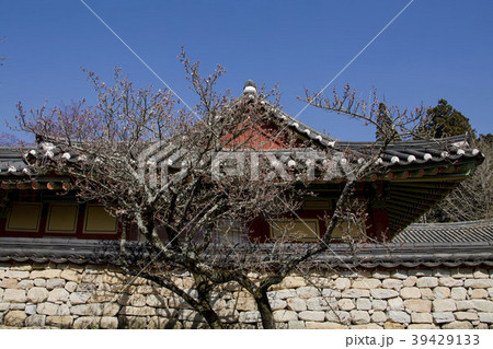 順天市 全羅南道 寺院 39429133