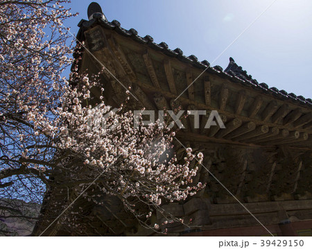 順天市 全羅南道 寺院 39429150