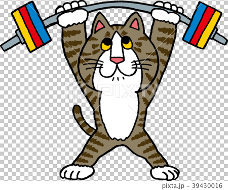 动物_鸟儿 猫 小猫 插图 举重猫 首页 插图 动物_鸟儿 猫 小猫 举重猫